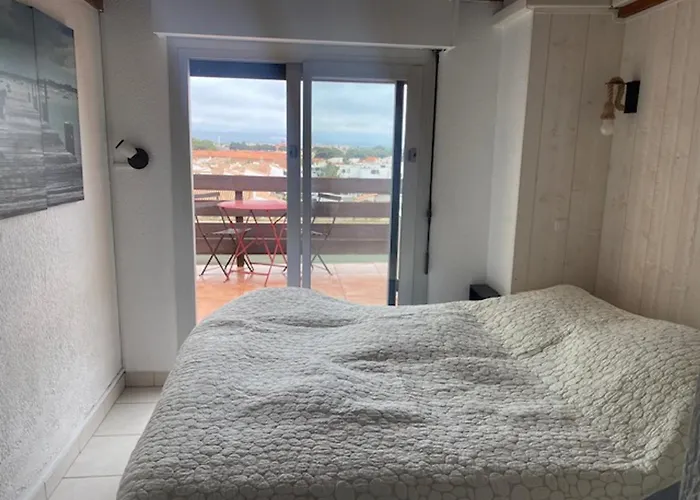 Port Leucate: T3 Duplex Climatise, 6 Pers, Face A La Mer, Parking - Fr-1-798-53